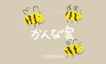 かんな蜜（八百萬養蜂所）